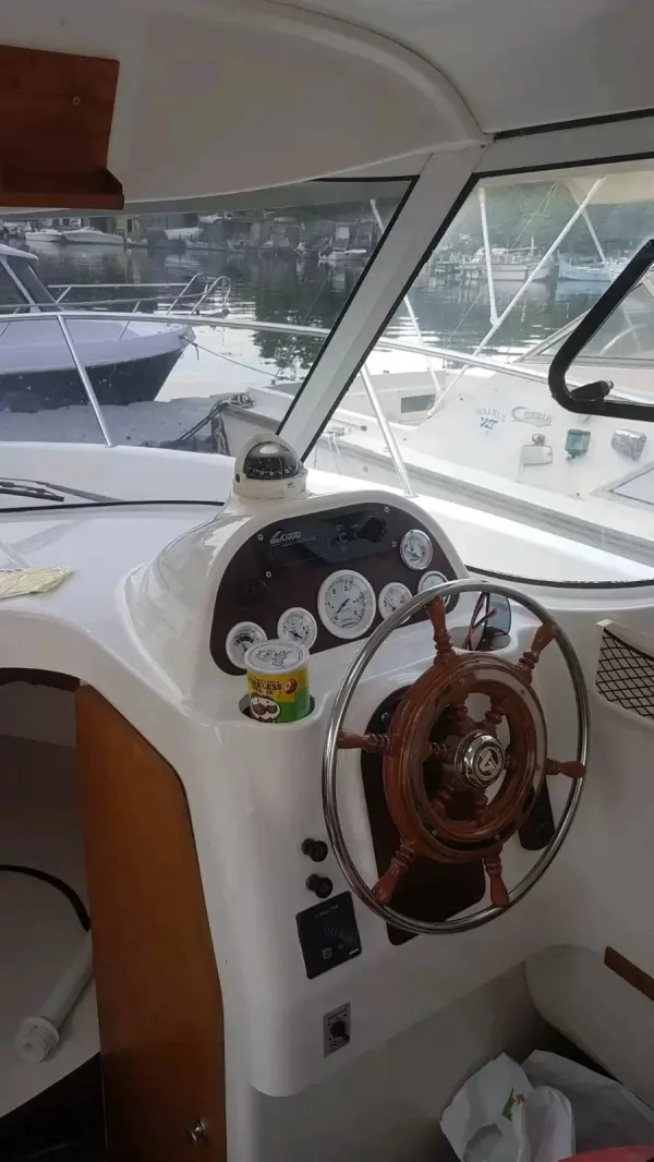 Arvor 250AS