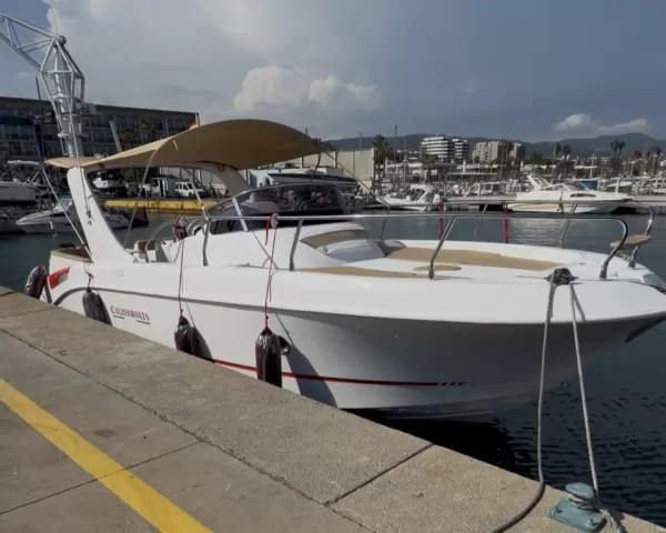 CALION BOAT 30 WA
