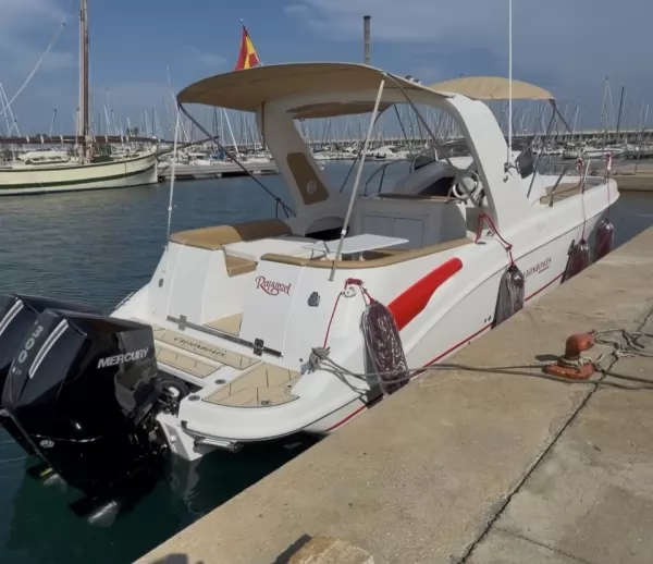CALION BOAT 30 WA