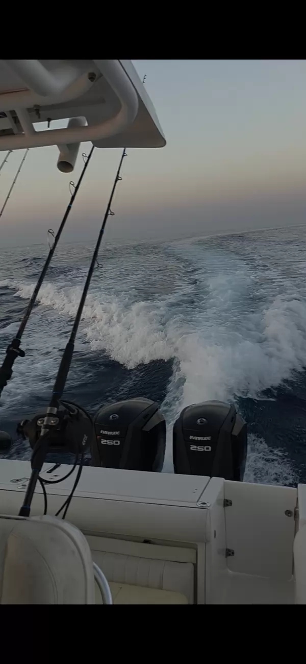 Evinrude E-TEC G2 250CV