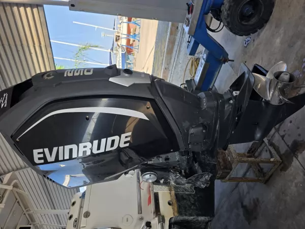 Evinrude E-TEC G2 250CV