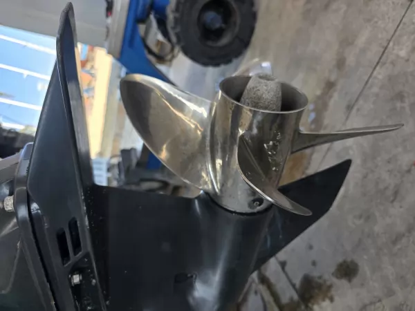Evinrude E-TEC G2 250CV