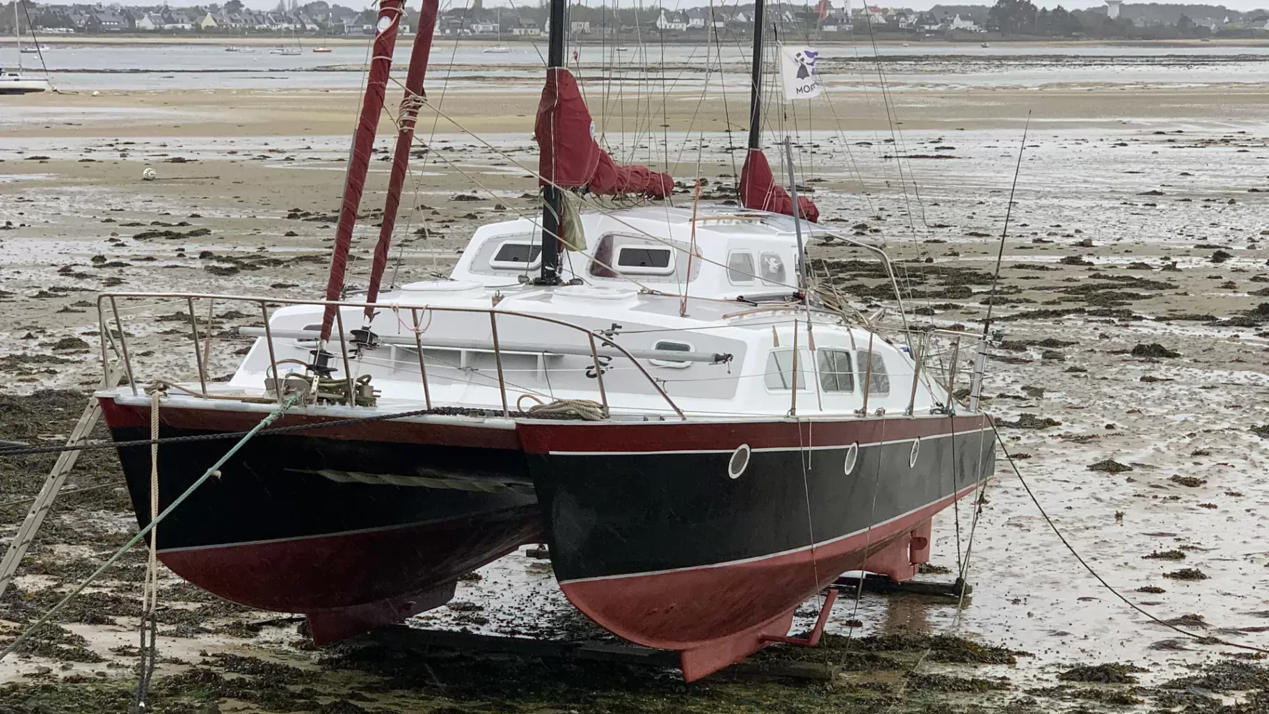 De vânzare South Coast Catamaran OCEANIC 30