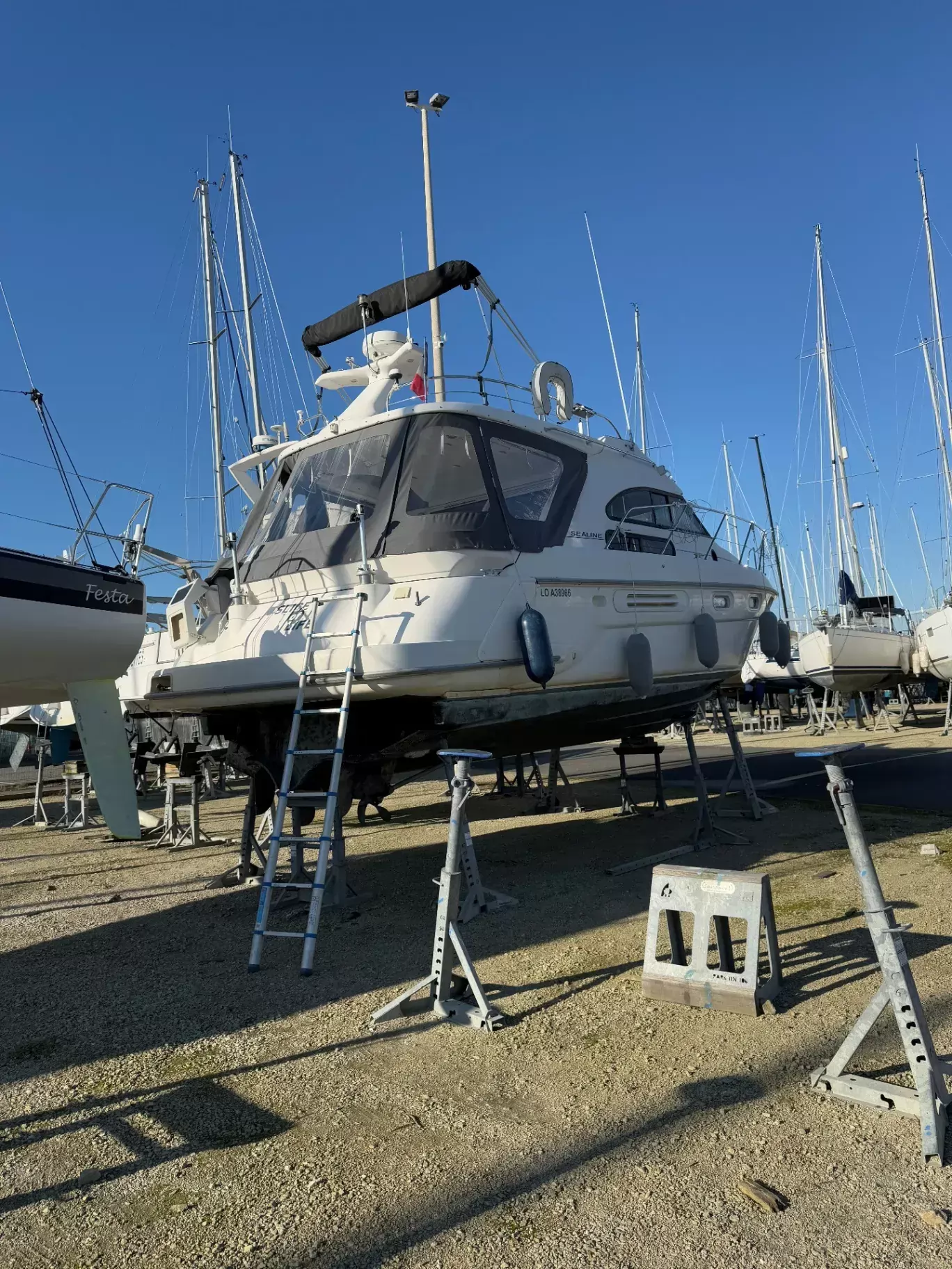 For sale SEALINE 360 STATESMAN