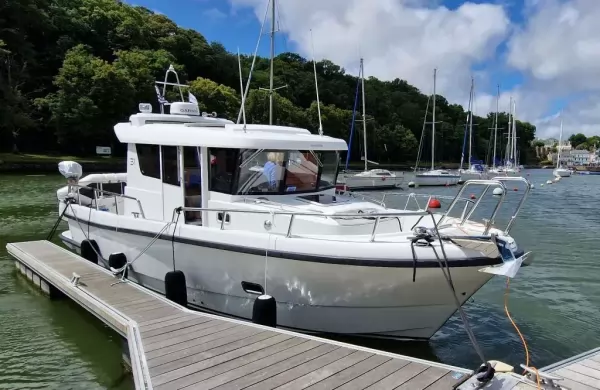 Sargo 31