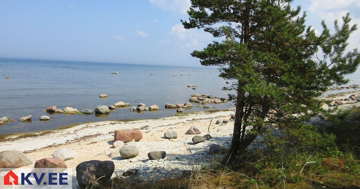 Spithami Spithami Harbour - Läänemaa, ESTONIA | theboatsmarket.com